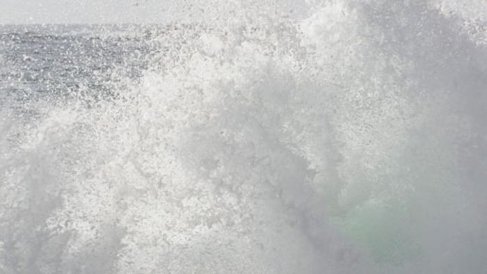 Surfer überlebten Tsunami nur knapp