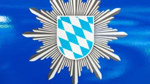 1er BMW in Hollfeld geklaut