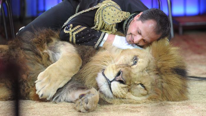 Tierschützer kritisieren Circus Krone