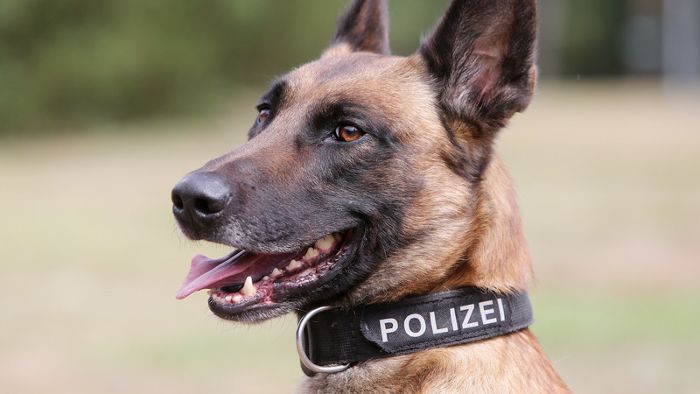 Polizei setzt Hund gegen Gaffer ein