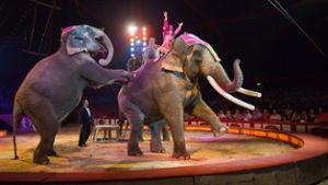 Kundgebung gegen Wildtiere im Zirkus