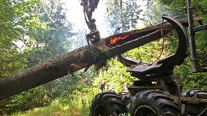 Fichtelberg: Forstarbeiter verhindern Waldbrand