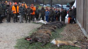 100 Jäger erlegen 17 Wildschweine