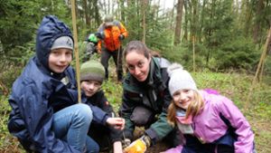 Weidenberger Grundschüler pflanzen unzählige Bäume