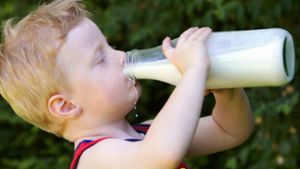 Sinkender Milchpreis: Billig kommt teuer